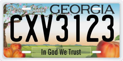 GA license plate CXV3123