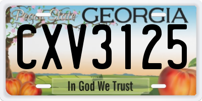 GA license plate CXV3125