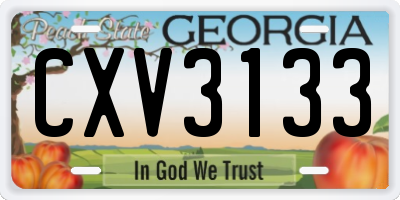 GA license plate CXV3133