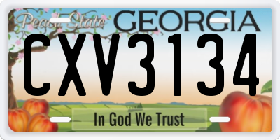 GA license plate CXV3134