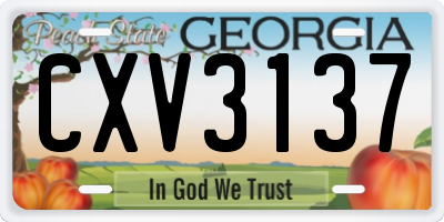 GA license plate CXV3137