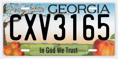 GA license plate CXV3165
