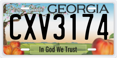 GA license plate CXV3174