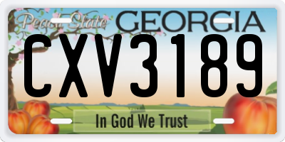 GA license plate CXV3189