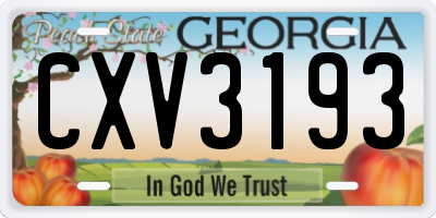 GA license plate CXV3193