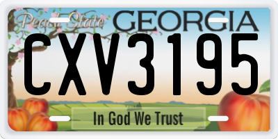 GA license plate CXV3195