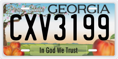 GA license plate CXV3199