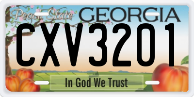 GA license plate CXV3201