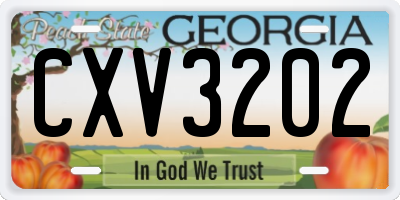 GA license plate CXV3202