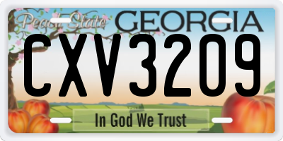 GA license plate CXV3209