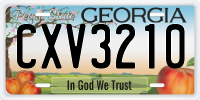 GA license plate CXV3210