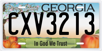 GA license plate CXV3213