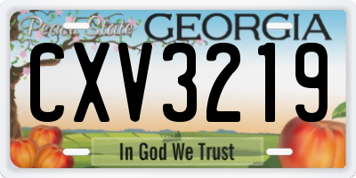GA license plate CXV3219