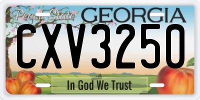 GA license plate CXV3250