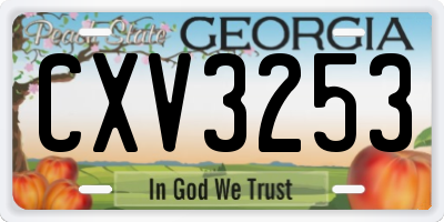 GA license plate CXV3253