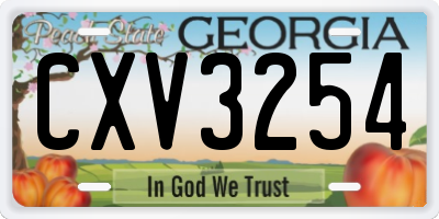 GA license plate CXV3254