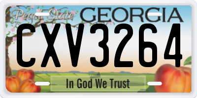 GA license plate CXV3264
