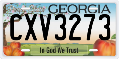 GA license plate CXV3273