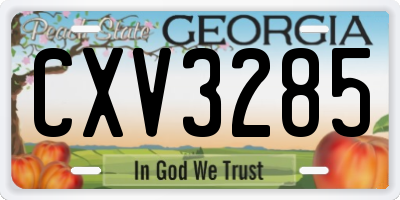 GA license plate CXV3285