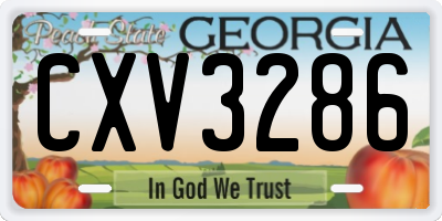 GA license plate CXV3286