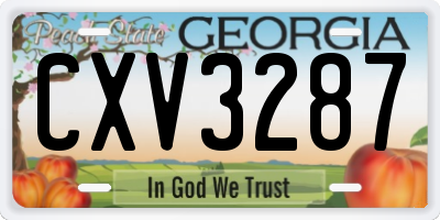 GA license plate CXV3287