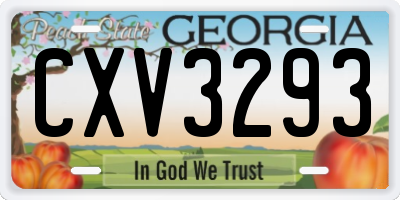 GA license plate CXV3293