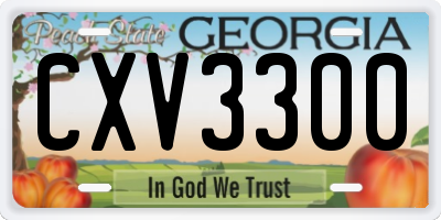 GA license plate CXV3300