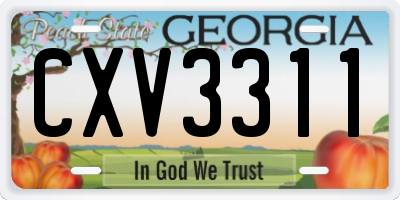 GA license plate CXV3311