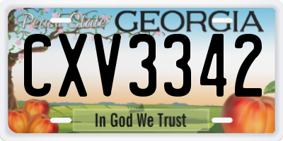 GA license plate CXV3342