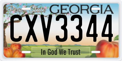 GA license plate CXV3344