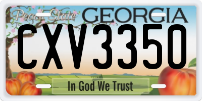 GA license plate CXV3350