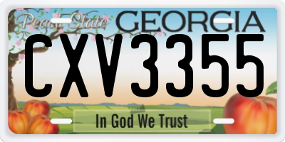 GA license plate CXV3355