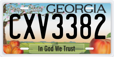 GA license plate CXV3382