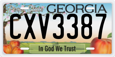 GA license plate CXV3387