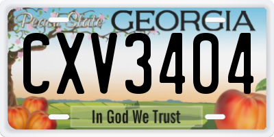 GA license plate CXV3404