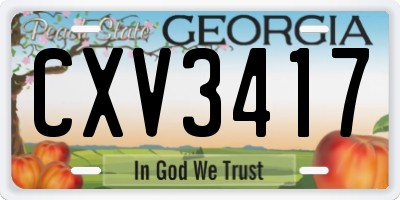 GA license plate CXV3417