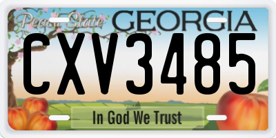 GA license plate CXV3485