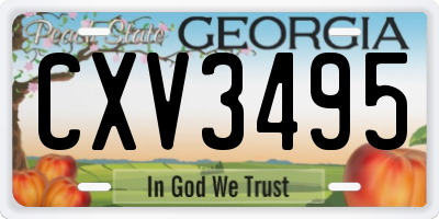 GA license plate CXV3495