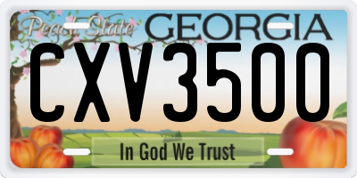 GA license plate CXV3500