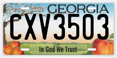GA license plate CXV3503