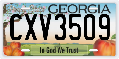 GA license plate CXV3509