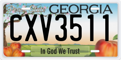 GA license plate CXV3511
