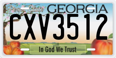 GA license plate CXV3512