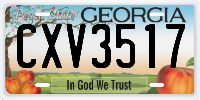 GA license plate CXV3517