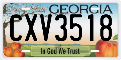 GA license plate CXV3518
