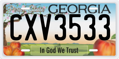 GA license plate CXV3533