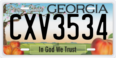 GA license plate CXV3534