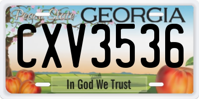 GA license plate CXV3536
