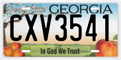 GA license plate CXV3541
