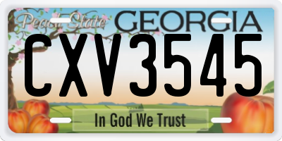 GA license plate CXV3545